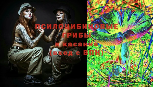 СК Верея