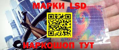 spice Кингисепп