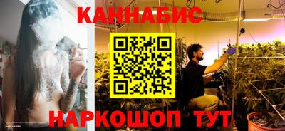 spice Кингисепп