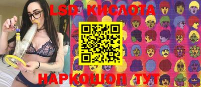 винт Кимры
