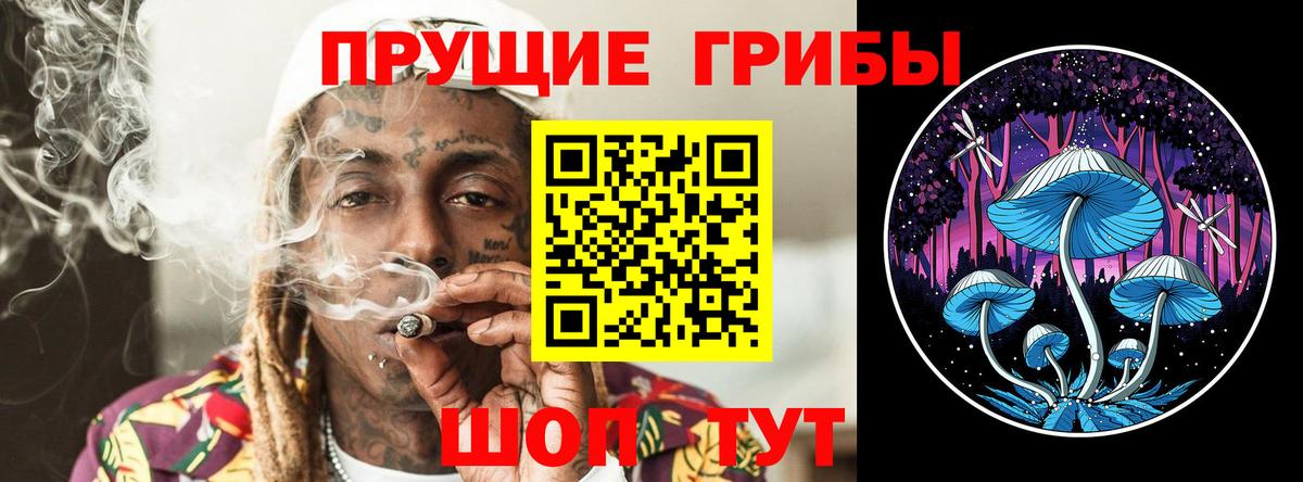 Медногорск  Псилоцибиновые грибы мухоморы  Псилоцибиновые грибы GOLDEN TEACHER  Вход с VPN 