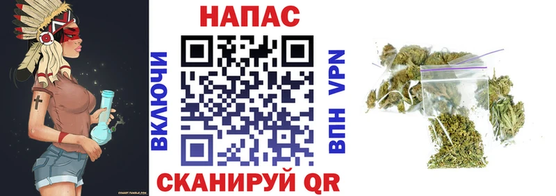 Канабис OG Kush  Медногорск 